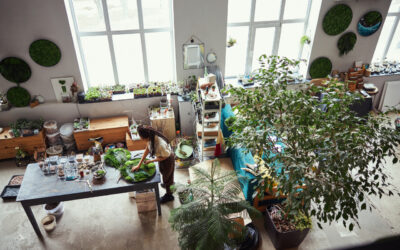 Rośliny + płytki = duet idealny. Jak stworzyć domową dżunglę, która jest łatwa w sprzątaniu?